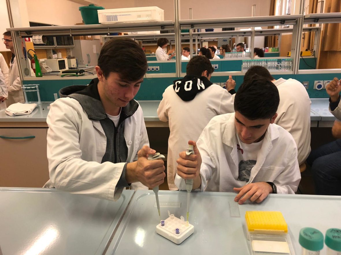 Cusmibio