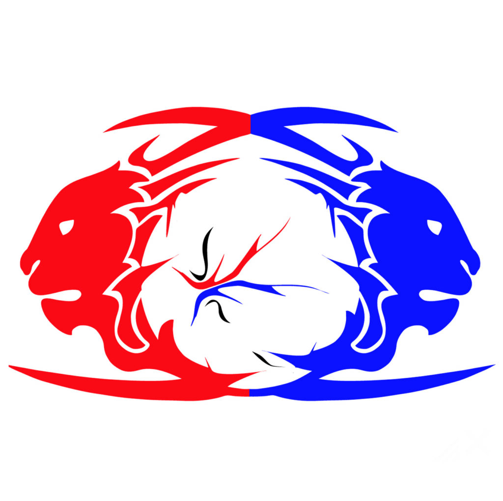 logo fortitudo